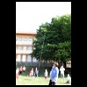 pic/IMG_4064-norm.jpg (normalized)