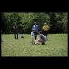 pic/IMG_4100-norm.jpg (normalized)
