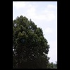pic/IMG_4108-norm.jpg (normalized)