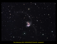 M82: The Antennae